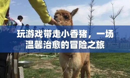 小香豬冒險記，溫馨治愈的奇幻之旅