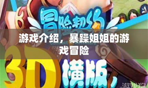 暴躁姐姐的游戲冒險(xiǎn)之旅