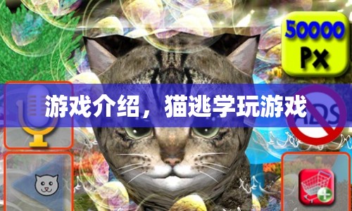 貓?zhí)訉W(xué)，趣味橫生的冒險游戲  第1張