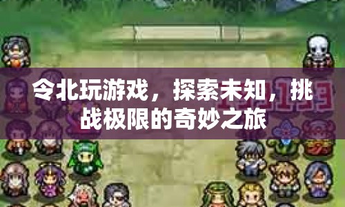 令北的奇妙之旅，探索未知，挑戰(zhàn)極限