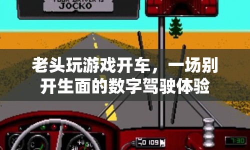 老頭數(shù)字駕駛，游戲開(kāi)車(chē)體驗(yàn)