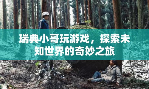 瑞典小哥的奇妙游戲之旅，探索未知世界的冒險(xiǎn)  第1張