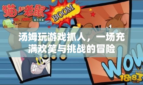 湯姆的歡樂抓人冒險  第1張