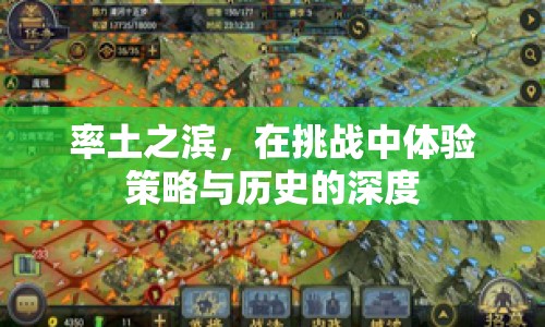 率土之濱，在挑戰(zhàn)中體驗(yàn)策略與歷史的深度之旅