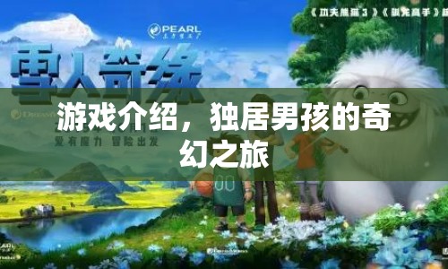 獨(dú)居男孩的奇幻之旅，探索未知世界的冒險(xiǎn)之旅  第1張