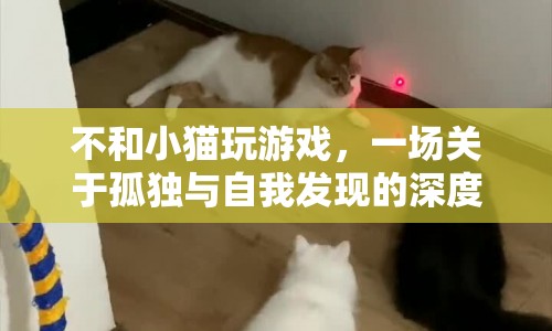 孤獨(dú)與自我發(fā)現(xiàn)，不和小貓玩游戲的深刻探索