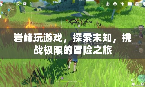 巖峰，探索未知，挑戰(zhàn)極限的冒險之旅