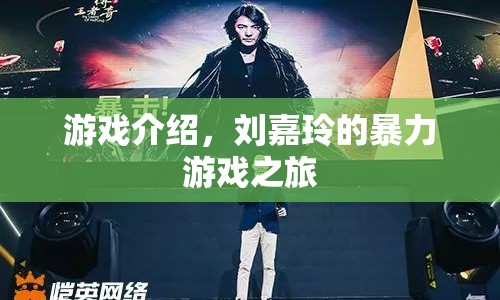 劉嘉玲的暴力游戲之旅，一場驚險刺激的游戲之旅