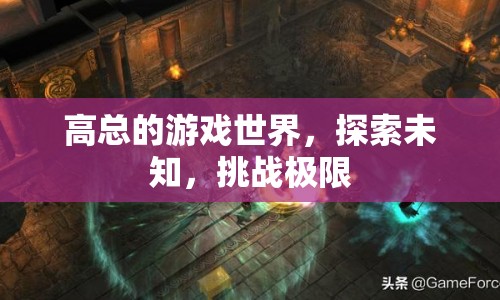 高總的游戲世界，探索未知，挑戰(zhàn)極限