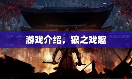 狼之戲趣，探索趣味游戲世界