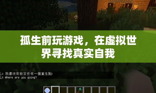 孤生前玩游戲，在虛擬世界尋找真實(shí)自我之旅