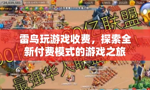 雷鳥探索全新付費模式，玩游戲也能收費！