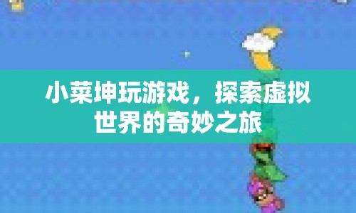 小菜坤的虛擬世界探險之旅  第1張
