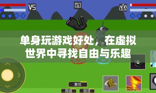單身玩游戲，在虛擬世界中尋找自由與樂(lè)趣