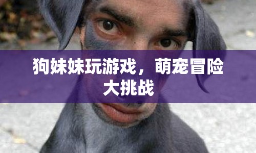 萌寵冒險(xiǎn)大挑戰(zhàn)，狗妹妹的歡樂游戲時(shí)光