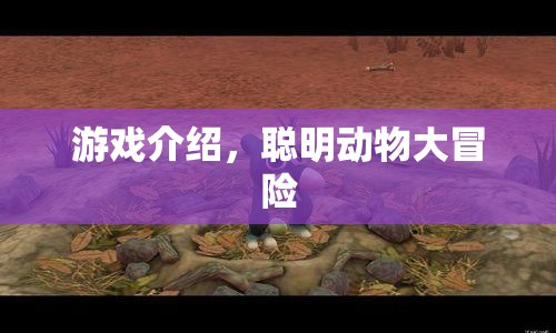 聰明動(dòng)物大冒險(xiǎn)，趣味游戲挑戰(zhàn)開(kāi)啟