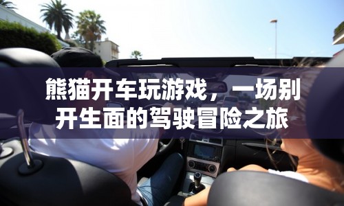 熊貓開(kāi)車玩游戲，一場(chǎng)別開(kāi)生面的駕駛冒險(xiǎn)之旅