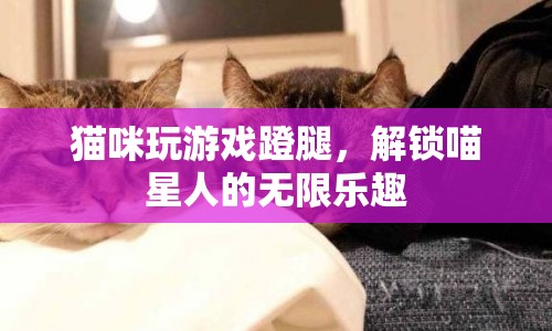 貓咪蹬腿玩游戲，解鎖喵星人的無限樂趣  第1張