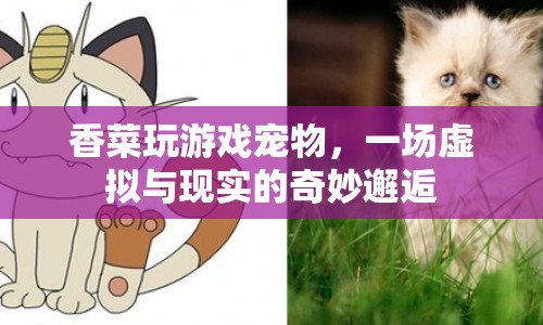 香菜與游戲?qū)櫸?，虛擬與現(xiàn)實的奇妙交融  第1張