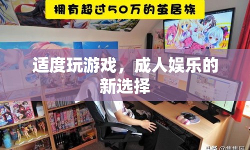 適度玩游戲，成人娛樂的新選擇  第1張