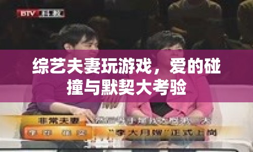 綜藝夫妻愛的碰撞，默契大考驗(yàn)  第1張