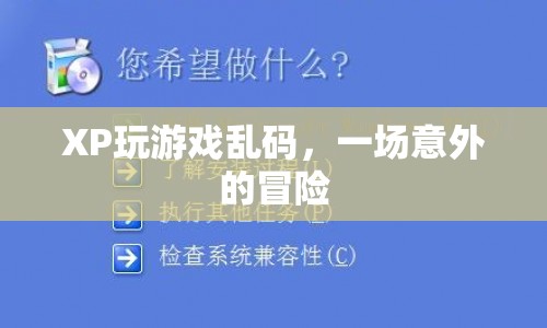 XP系統(tǒng)游戲亂碼，一場(chǎng)意外的亂碼冒險(xiǎn)之旅  第1張