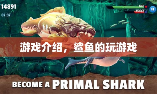 鯊魚的游戲世界，探索海洋的冒險(xiǎn)之旅