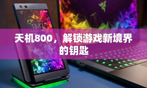 天機(jī)800，解鎖游戲新境界的鑰匙