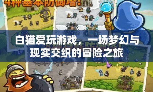 白貓愛玩游戲，夢幻與現實交織的冒險之旅