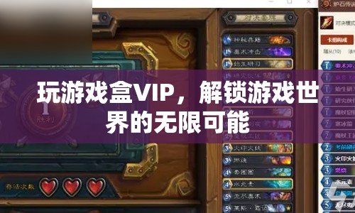 解鎖游戲世界的無限可能，玩游戲盒VIP等你來體驗