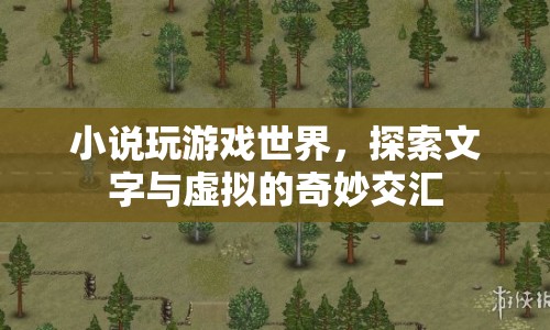 文字與虛擬的奇妙交匯，探索游戲世界的小說(shuō)之旅