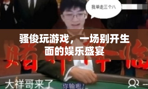 騷俊游戲盛宴，娛樂與激情的碰撞