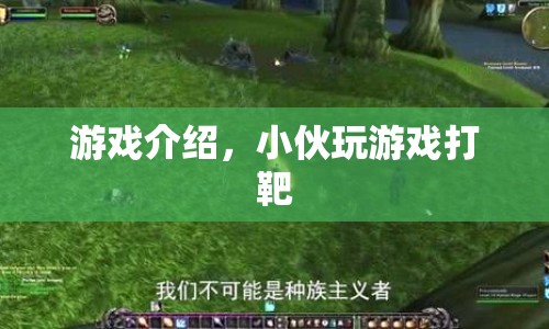 小伙打靶游戲，精準(zhǔn)射擊，挑戰(zhàn)極限