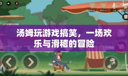 湯姆搞笑游戲，歡樂與滑稽的冒險(xiǎn)之旅