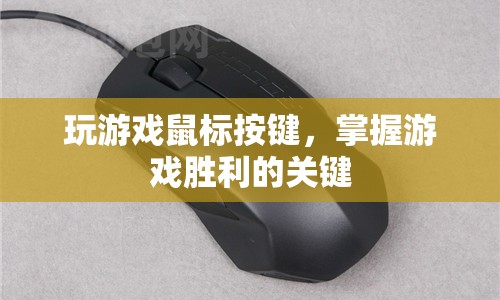 掌握游戲勝利的關(guān)鍵，優(yōu)化鼠標按鍵設(shè)置
