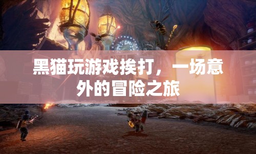 黑貓意外冒險，游戲挨打之旅  第1張