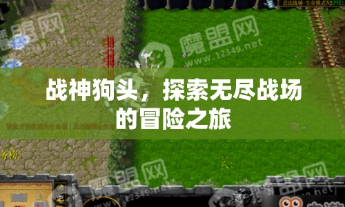 戰(zhàn)神狗頭，探索無盡戰(zhàn)場的冒險之旅