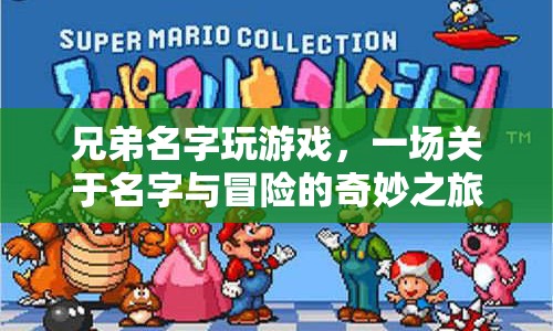 兄弟名字玩游戲，一場(chǎng)名字與冒險(xiǎn)的奇妙之旅  第1張