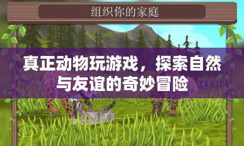 動物游戲，探索自然與友誼的奇妙冒險