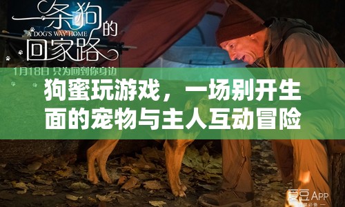 狗蜜玩游戲，寵物與主人共赴互動(dòng)冒險(xiǎn)之旅  第1張
