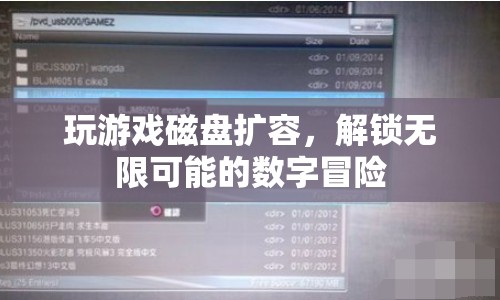 解鎖無限可能的數(shù)字冒險(xiǎn)，游戲磁盤擴(kuò)容