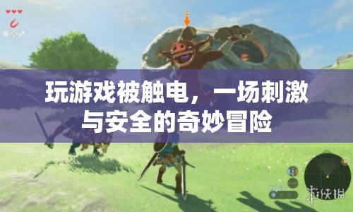 觸電冒險，一場刺激與安全的奇妙之旅