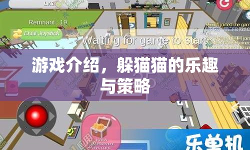 躲貓貓的樂趣與策略，一場(chǎng)智慧與敏捷的較量