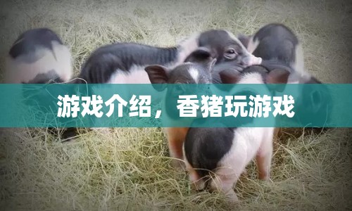 香豬玩游戲，趣味橫生的游戲介紹