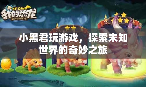 探索未知世界的奇妙之旅，小黑君的游戲之旅