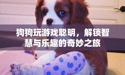 狗狗解鎖智慧與樂趣，奇妙游戲之旅
