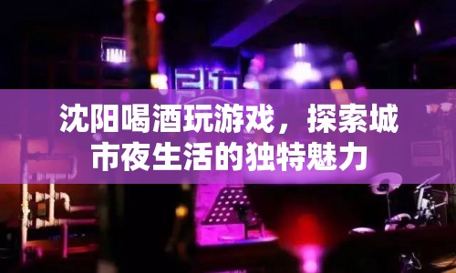 沈陽夜生活新體驗(yàn)，喝酒玩游戲，探索城市獨(dú)特魅力