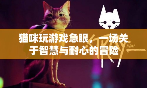 貓咪急眼玩游戲，智慧與耐心大冒險(xiǎn)