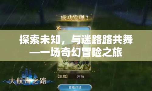 與迷路路共舞，奇幻冒險之旅