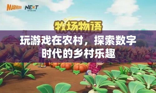 探索數(shù)字時(shí)代鄉(xiāng)村樂趣，農(nóng)村游戲新體驗(yàn)